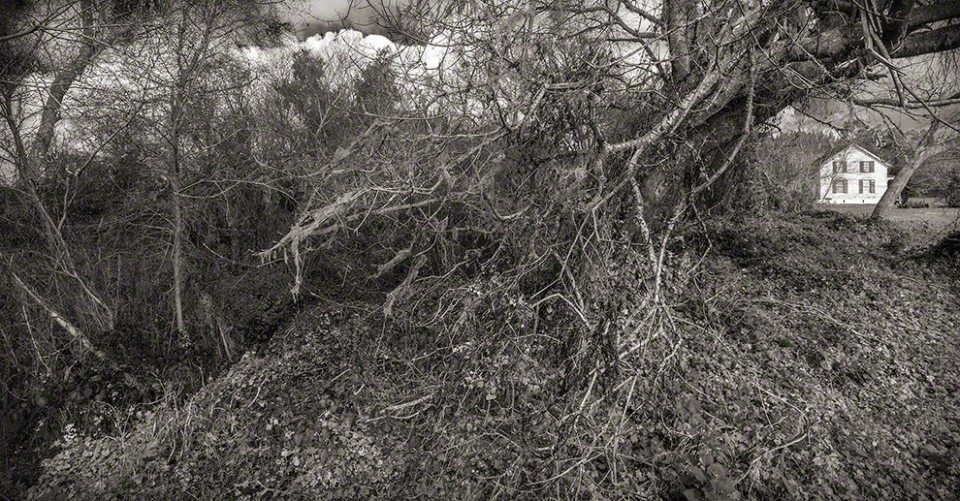 Pescadero Creek Overgrowth and Farm House, Ⓒ don gogg 2013, all rights reserved.